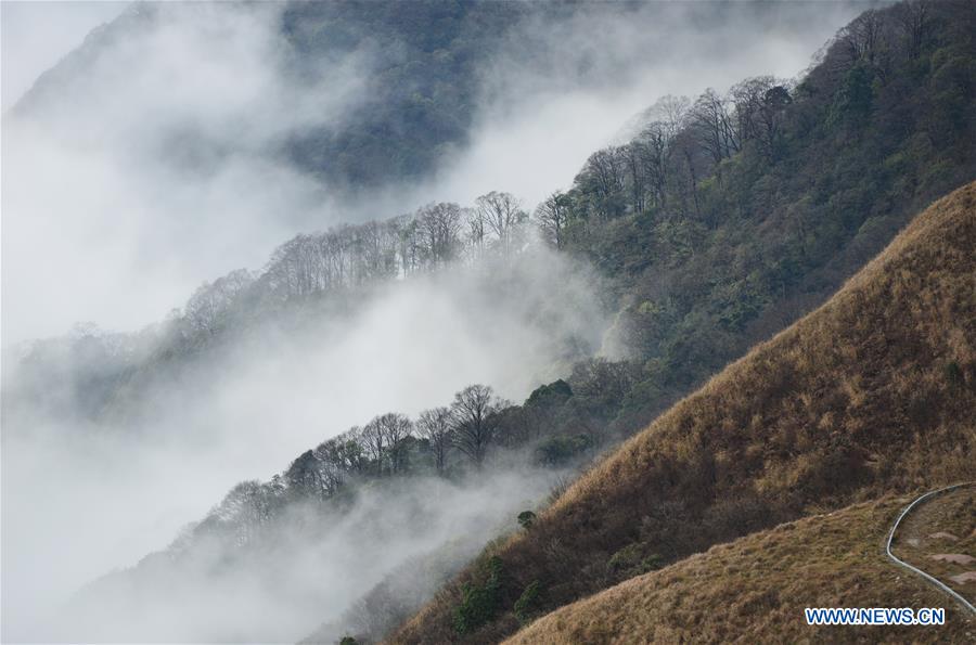 #CHINA-GUIZHOU-MIAOLING-SCENERY (CN)