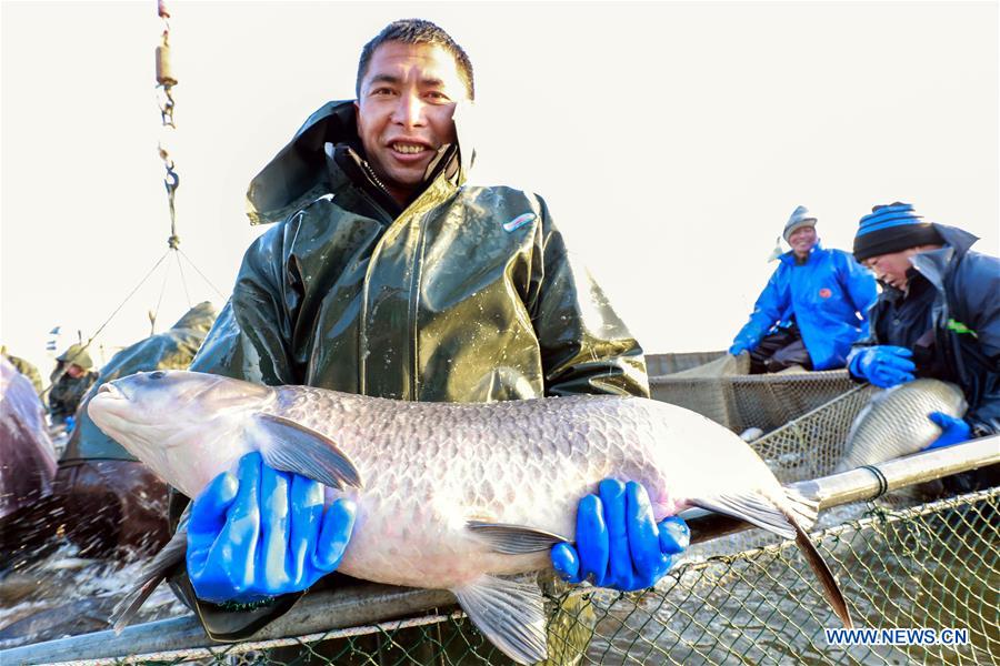 #CHINA-JIANGSU-WINTER FISHING (CN)