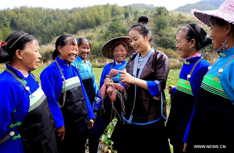 #CHINA-GUANGXI-ONLINE BUSINESS-SWEET POTATOES (CN)