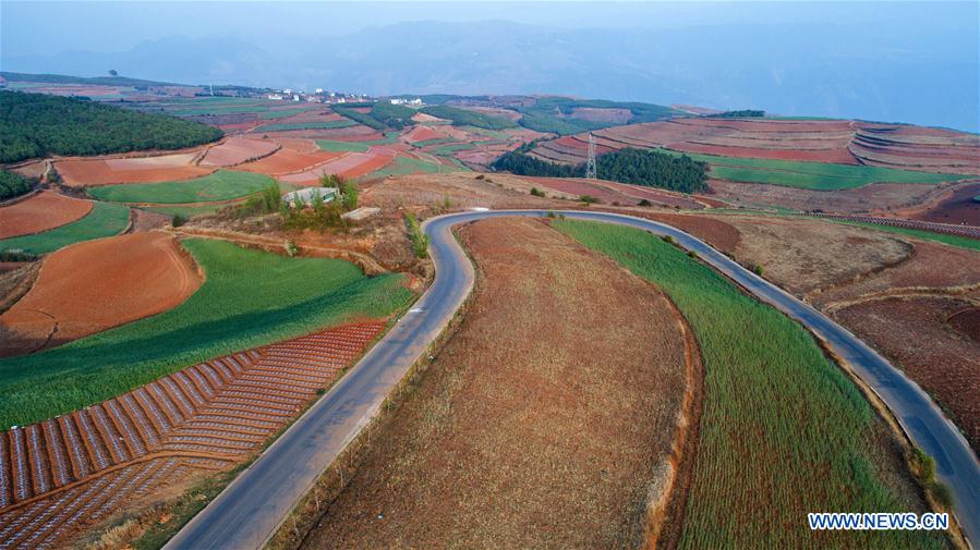 CHINA-YUNNAN-DONGCHUAN RED LAND-SCENERY (CN)