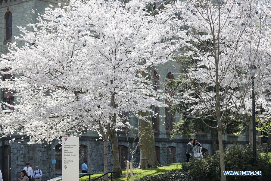 U.S.-PHILADELPHIA-SPRING-BLOSSOM