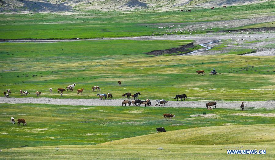 CHINA-INNER MONGOLIA-CHIFENG-GRASSLAND (CN)