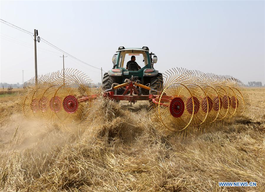 #CHINA-HEBEI-SHIJIAZHUANG-STRAW (CN)