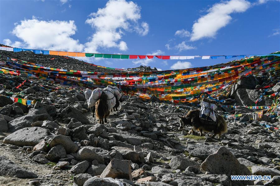 CHINA-TIBET-GANGSHA VILLAGE-TOURISM (CN)