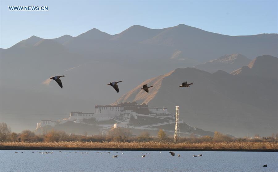 CHINA-WETLAND PROTECTION (CN)