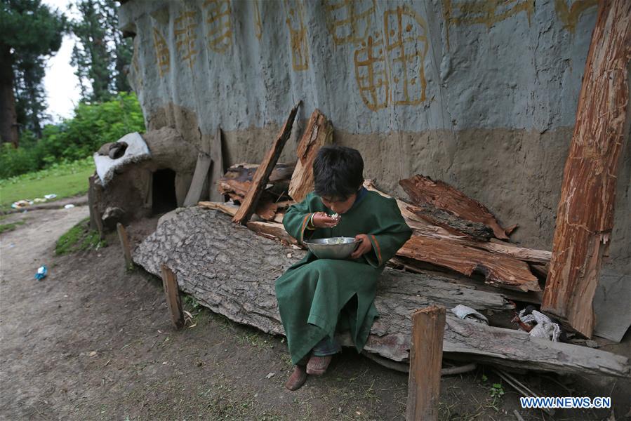 KASHMIR-SRINAGAR-DAILY LIFE