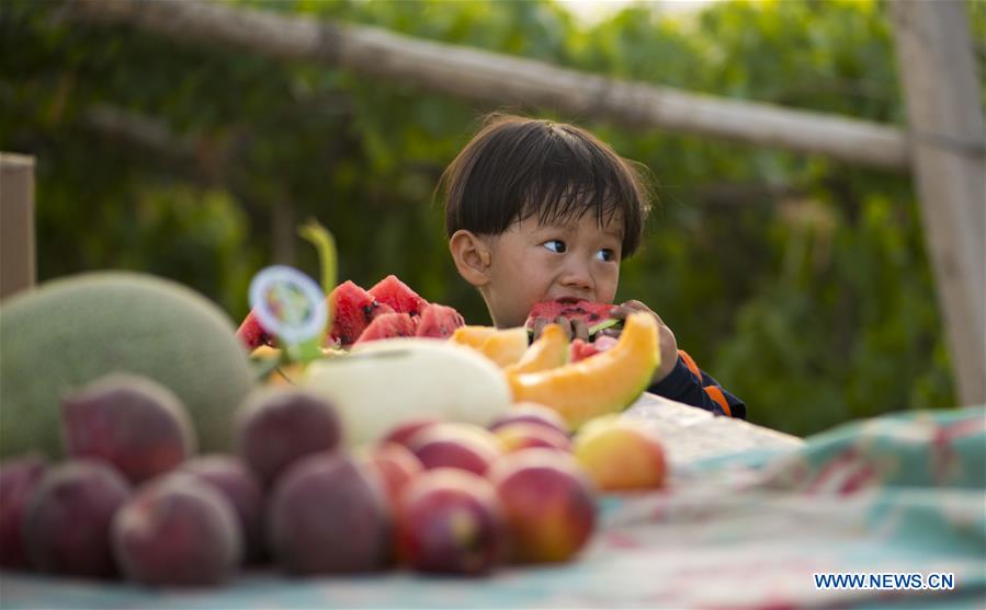 CHINA-XINJIANG-FRUITS (CN)