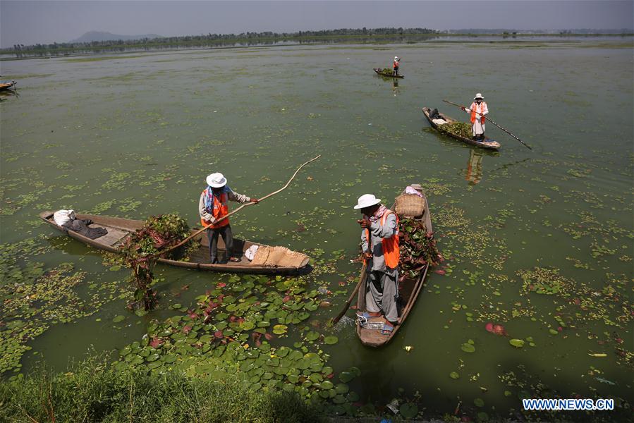 INDIAN-CONTROLLED KASHMIR-SRINAGAR-DAL LAKE-POLLUTION-CLEANING DRIVE