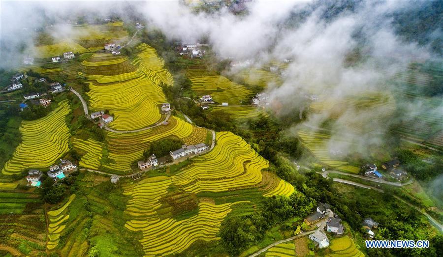 CHINA-SHAANXI-TERRACED FIELDS (CE)