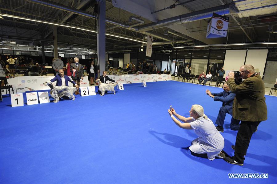 POLAND-NADARZYN-EURO DOG SHOW