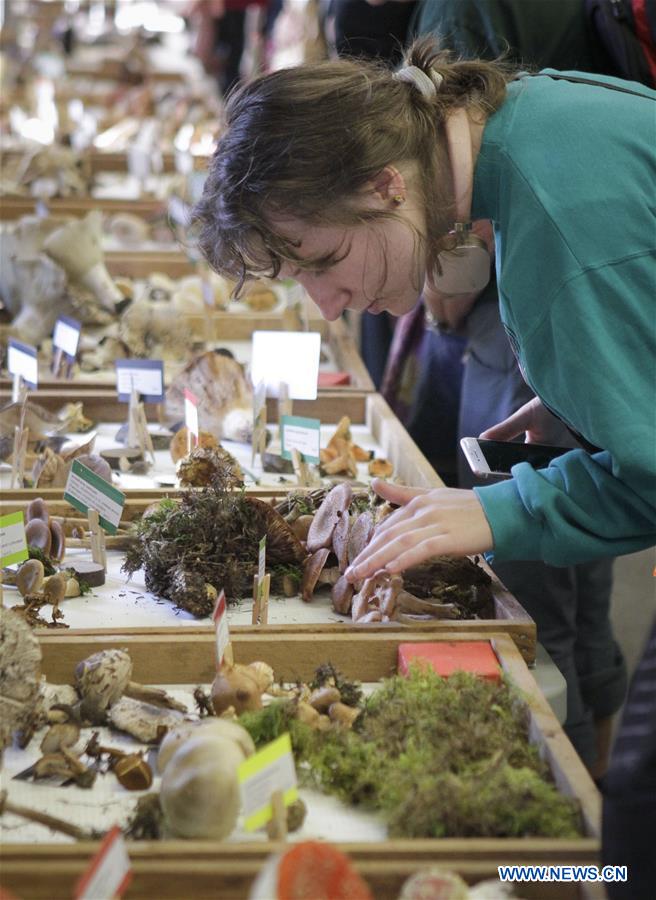 CANADA-VANCOUVER-MUSHROOM SHOW