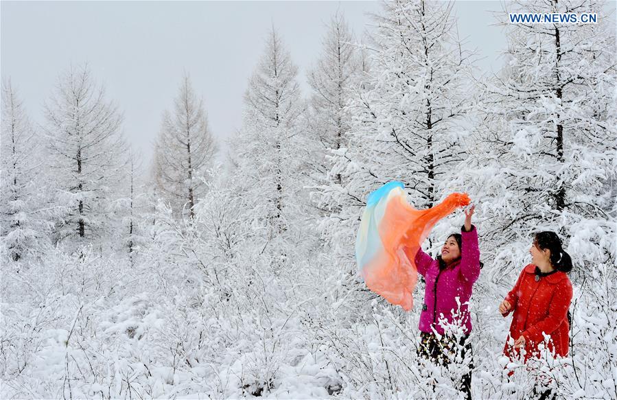 #CHINA-HULUN BUIR-SNOWFALL(CN)