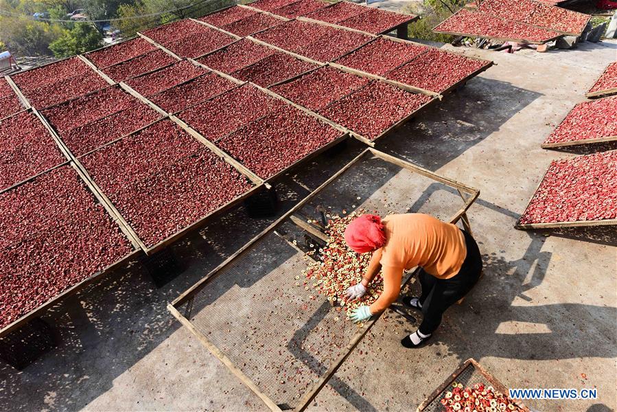 #CHINA-SHANDONG-HAWTHORN INDUSTRY (CN)