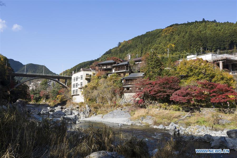 JAPAN-TOKYO-MITAKE GORGE-COLORFUL LEAVES