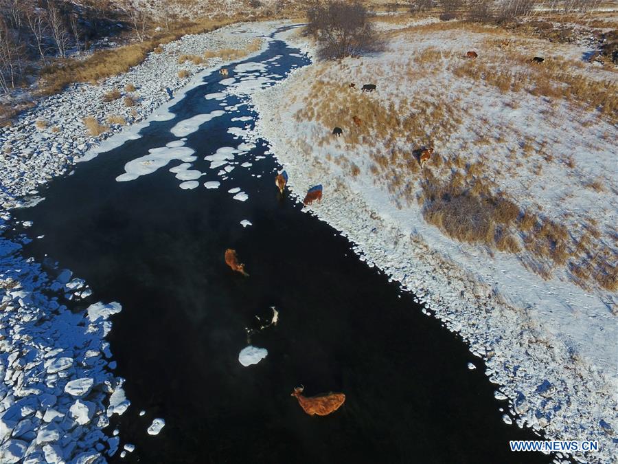 CHINA-INNER MONGOLIA-ARXAN-HALHA RIVER (CN)