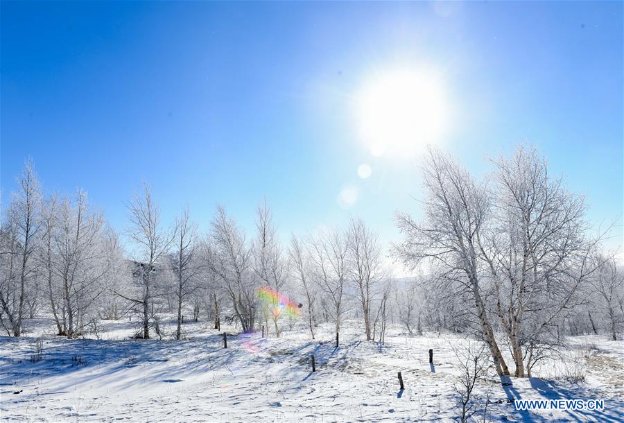 CHINA-INNER MONGOLIA-SNOW SCENERY (CN)