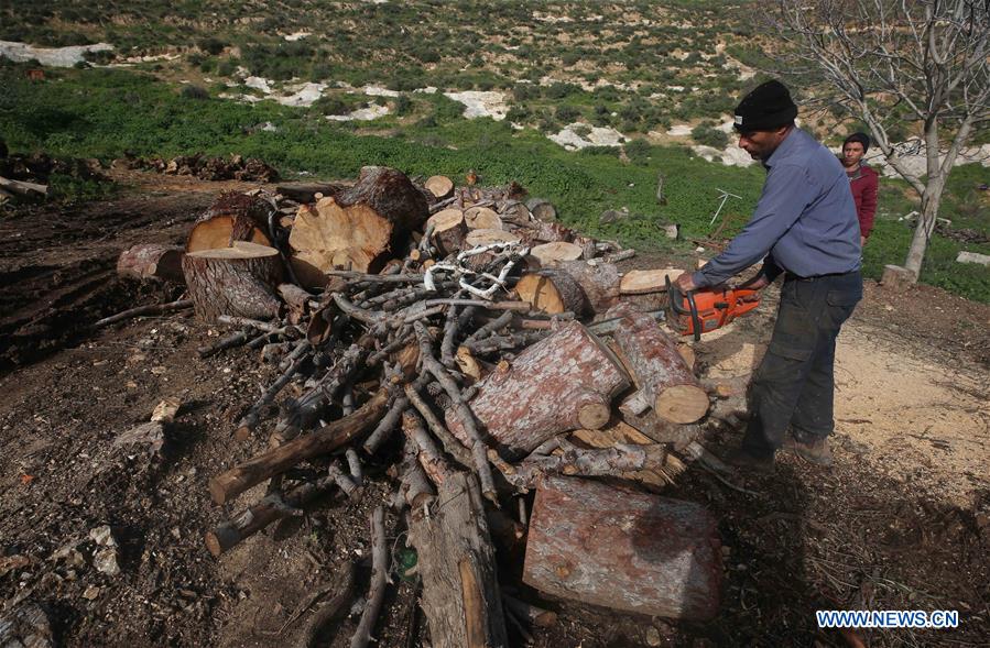 MIDEAST-NABLUS-WINTER-FIREWOOD