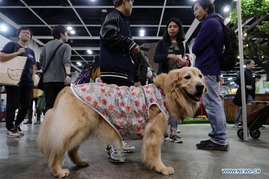 #CHINA-HONG KONG-PET SHOW (CN*)