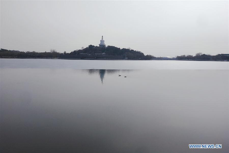 (BeijingCandid) CHINA-BEIJING-BEIHAI PARK (CN)