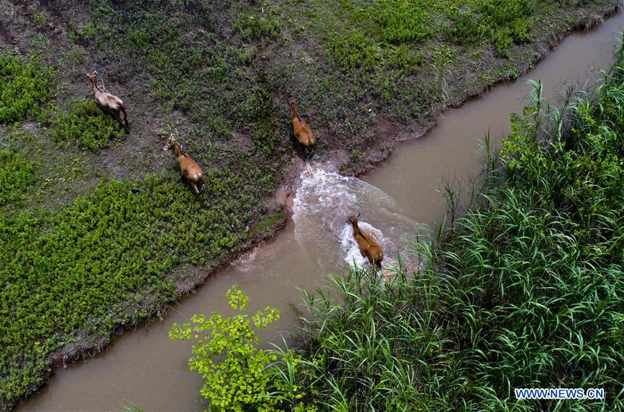 CHINA-BEIJING-ECOLOGICAL CIVILIZATION CONSTRUCTION (CN)