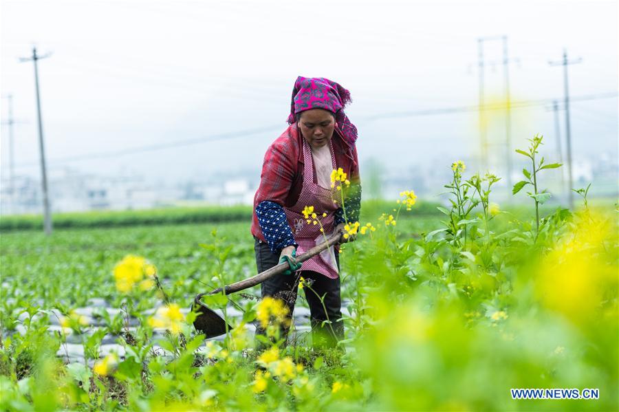 CHINA-GUIZHOU-LIUPANSHUI-POVERTY ALLEVIATION (CN)