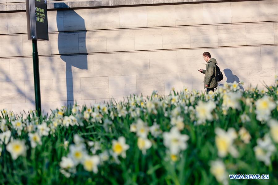 BELGIUM-BRUSSELS-SPRING-FLOWERS