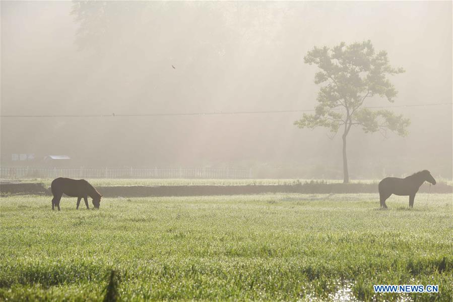 CHINA-ANHUI-YIXIAN-SCENERY(CN)