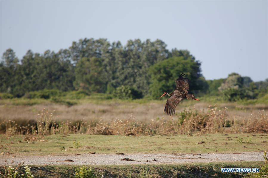 TURKEY-SAMSUN-KIZILIRMAK DELTA-SCENERY (CN)