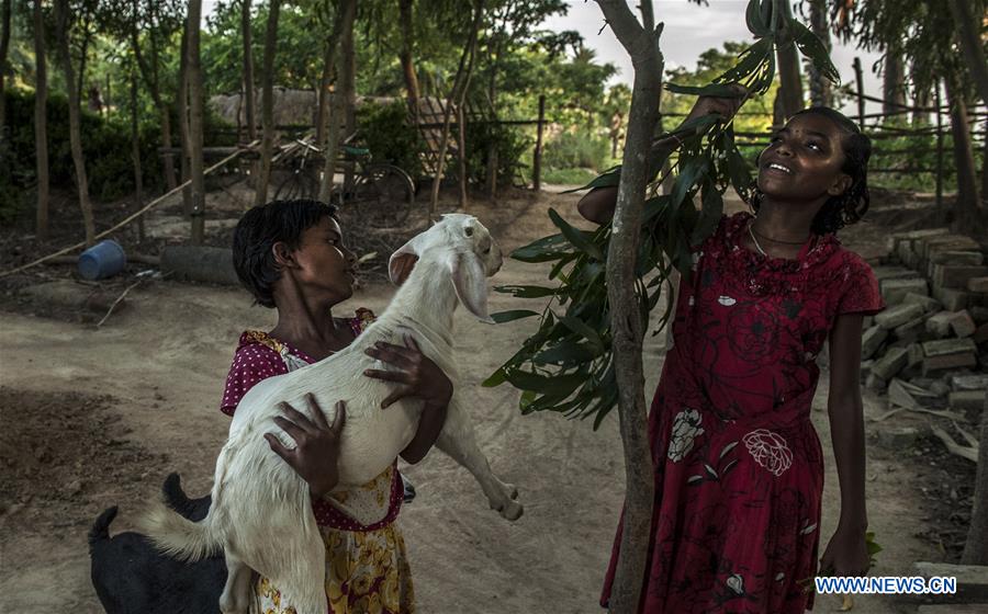 INDIA-KOLKATA-RURAL ECONOMY-ANIMAL HUSBANDRY