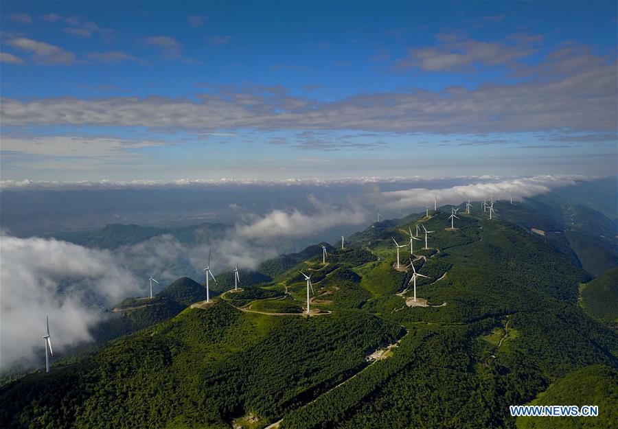 (EcoChina)CHINA-HORTICULTURAL EXPO-CHONGQING (CN)