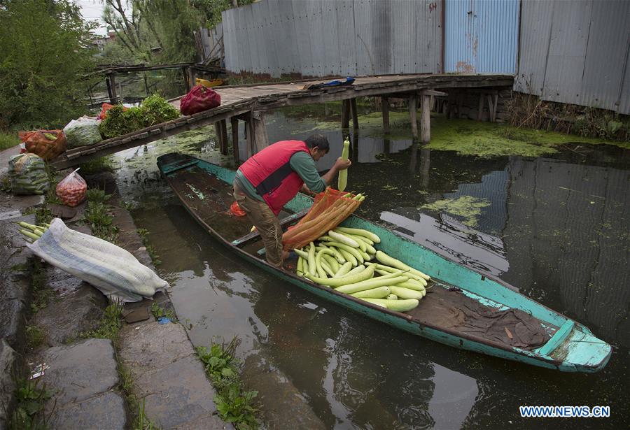 KASHMIR-SRINAGAR-DAILY LIFE