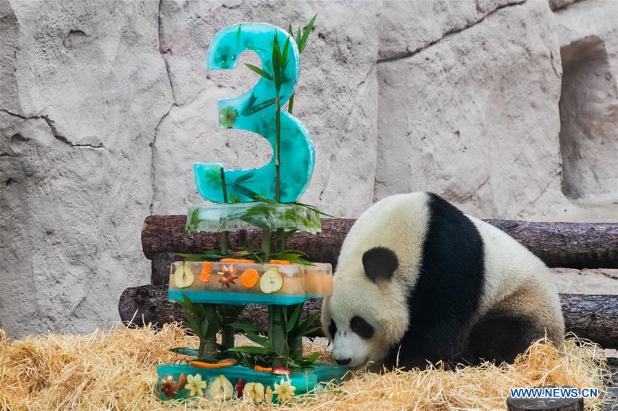 RUSSIA-MOSCOW-PANDAS-BIRTHDAY-CELEBRATIONS