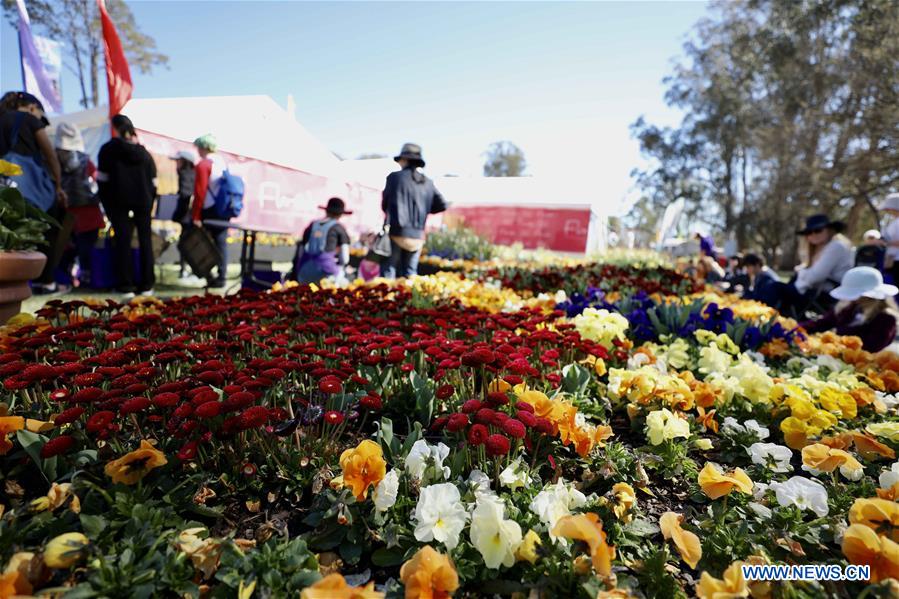 AUSTRALIA-CANBERRA-FLORIADE