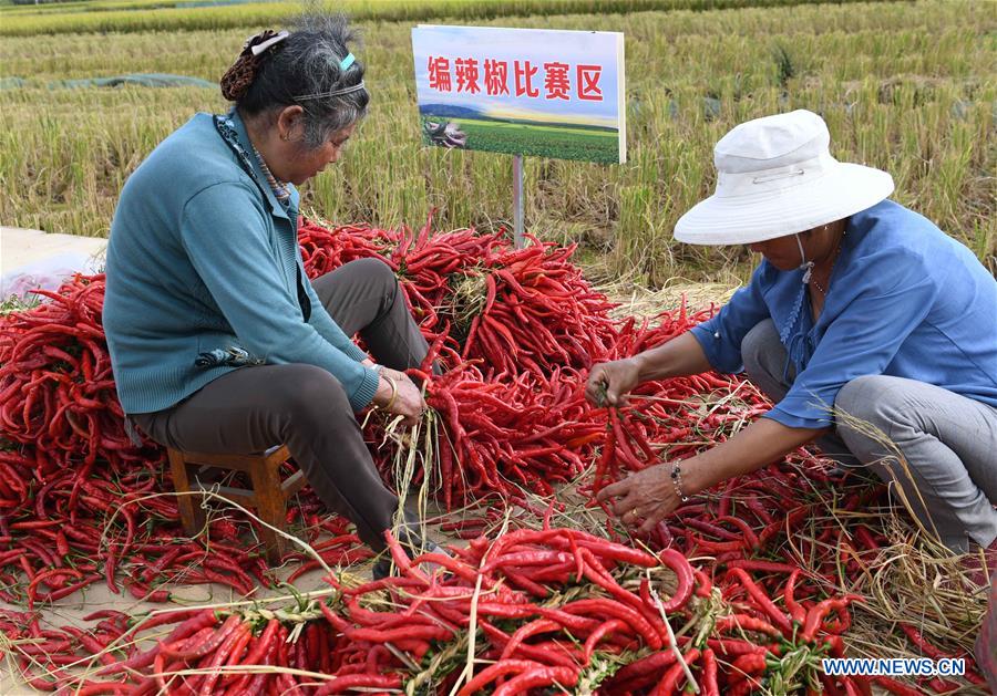 CHINA-YUNNAN-XUNDIAN-HARVEST-CELEBRATION (CN)