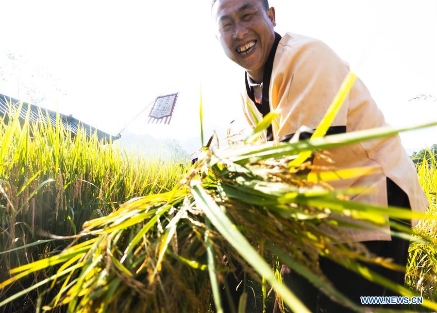 #CHINA-HARVEST FESTIVAL-CELEBRATION (CN)