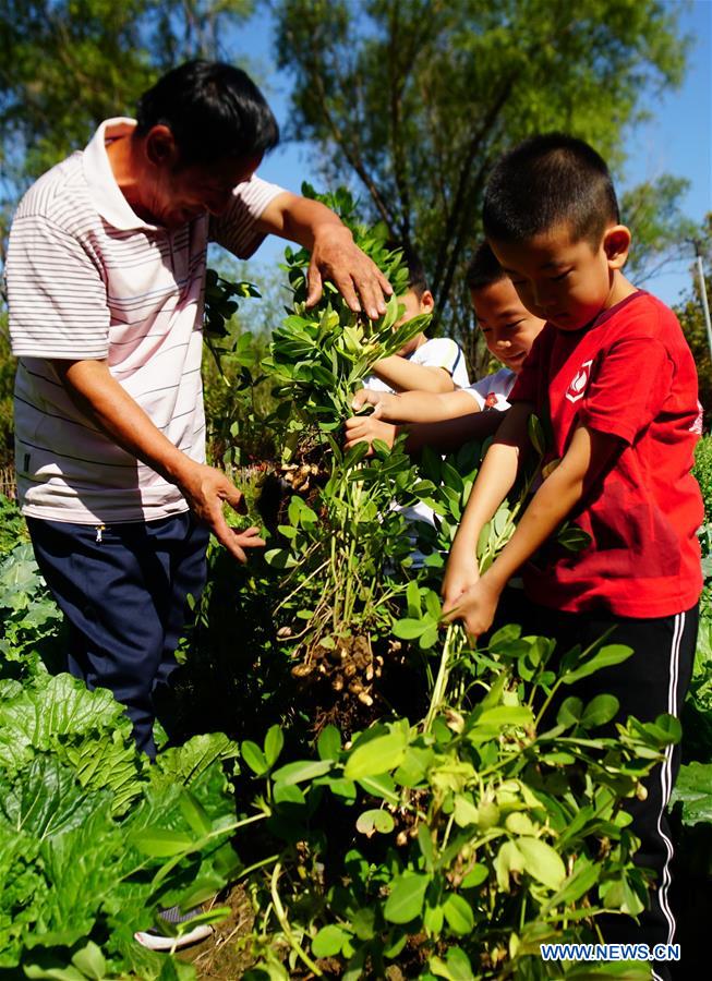 CHINA-HARVEST FESTIVAL-CELEBRATION (CN)