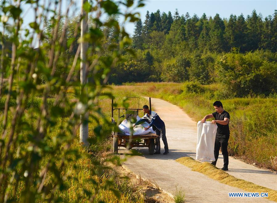 CHINA-JIANGXI-LICHUAN-FARMER-PAINTER (CN)