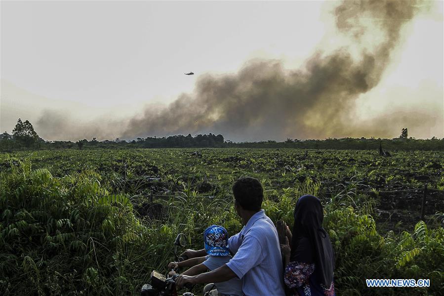 INDONESIA-RIAU-FIRE