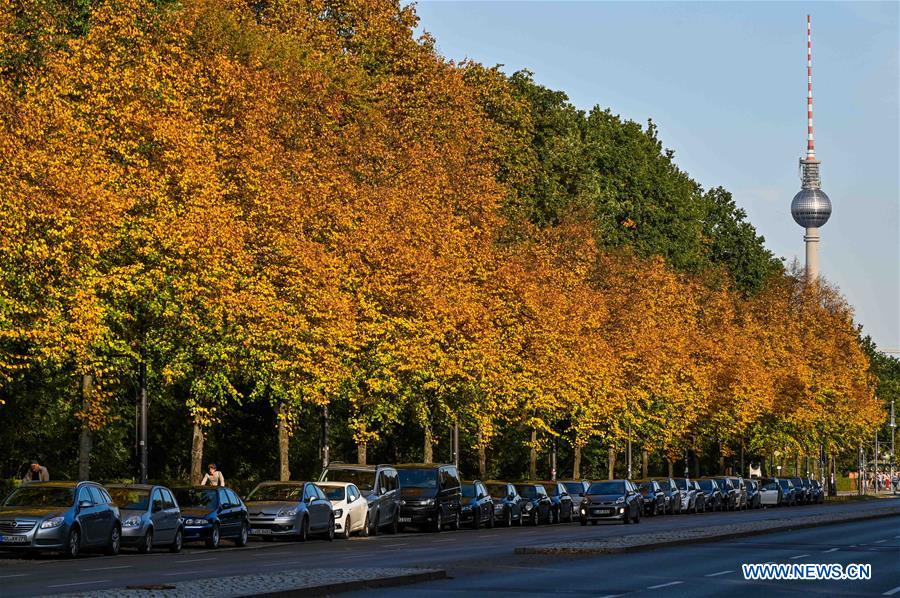 GERMANY-AUTUMN-SCENERY