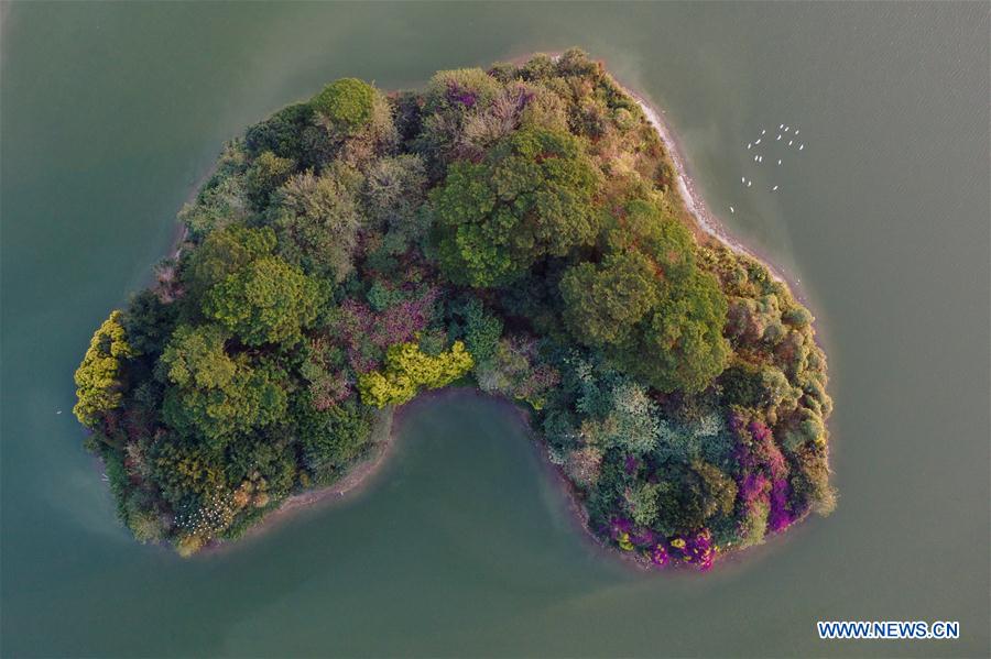 CHINA-FUJIAN-ZHANGZHOU-ENVIRONMENT-EGRETS (CN)