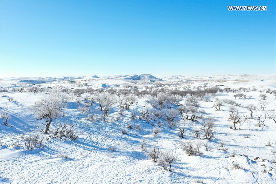 CHINA-INNER MONGOLIA-XILINHOT-GRASSLAND-WINTER SCENERY (CN)