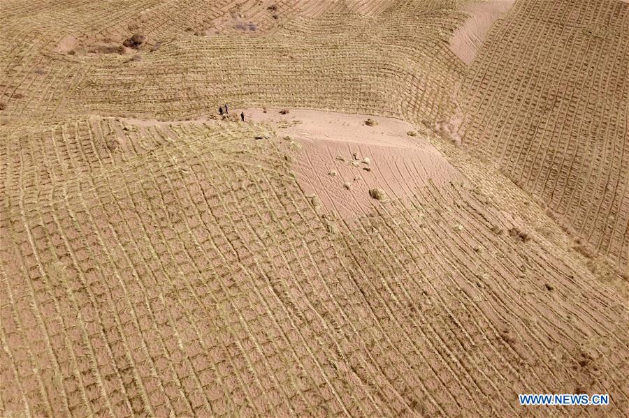 CHINA-GANSU-SPRING-DESERT CONTROL (CN)