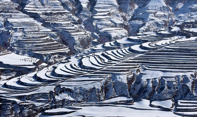 Scenery of terraced fields covered by snow in NW China's Gansu