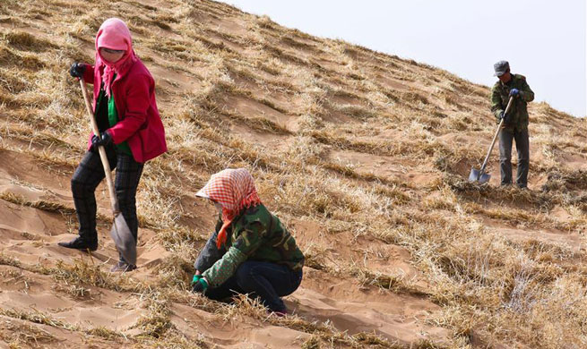 People fight against desertification in NW China's Gansu