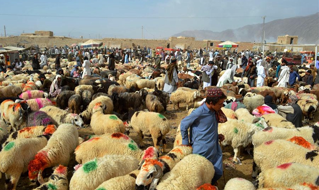 People prepare for upcoming Eid al-Adha festival around world