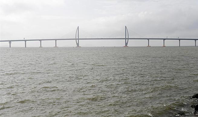 Hong Kong-Zhuhai-Macao Bridge withstands super typhoon Mangkhut