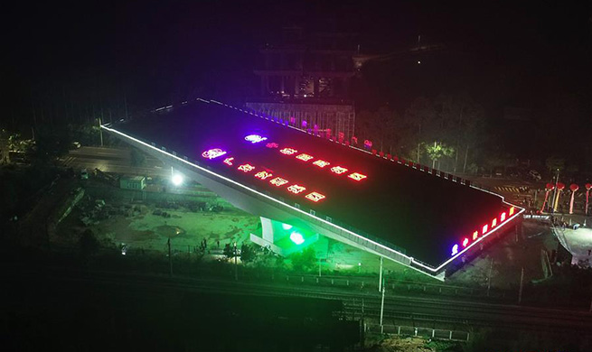 Swivel bridge completes rotation in south China's Guangdong