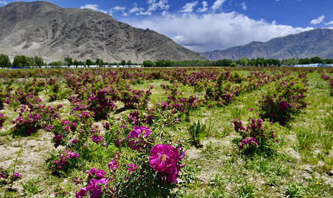 In pics: a rural tourist destination in China's Tibet