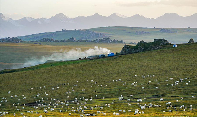 Eco China: Xinjiang carries out projects to improve local ecological environment