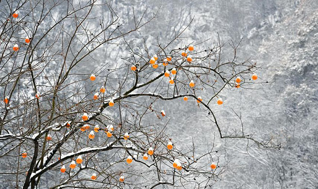 Snow scenery in Qinling Mountains in Xi'an, China's Shaanxi